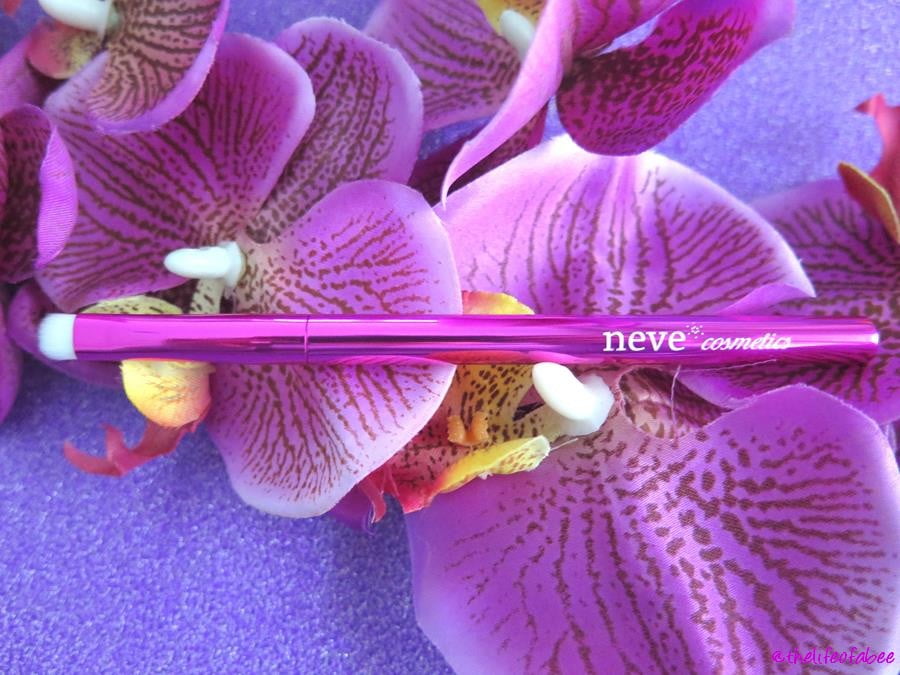 azalea define brush azalea define brush