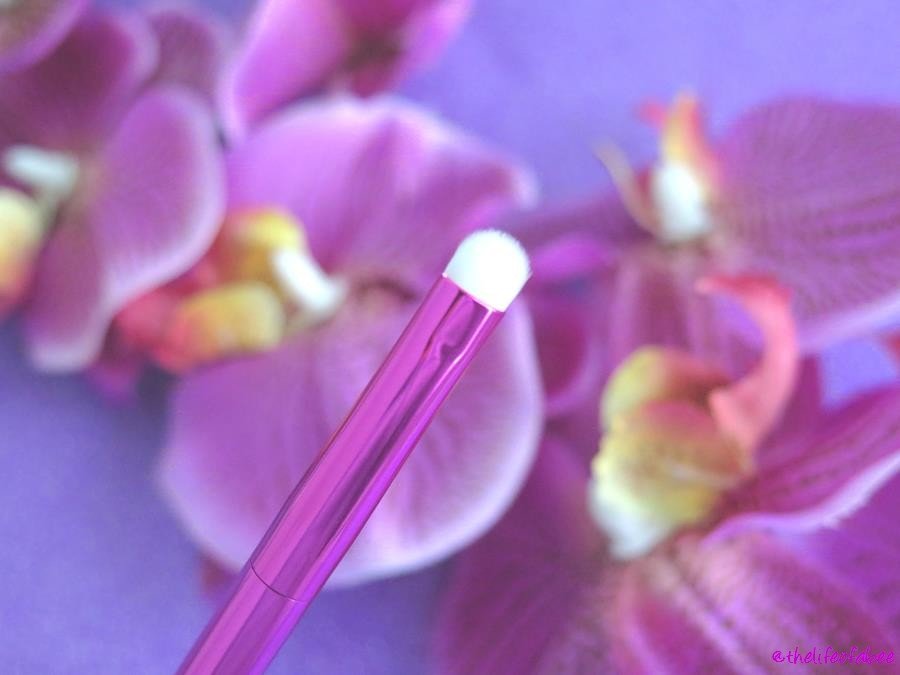 azalea define brush azalea define brush