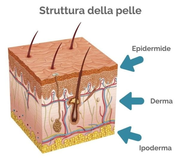 DI CHE PELLE SEI? COME CAPIRE LA PROPRIA TIPOLOGIA