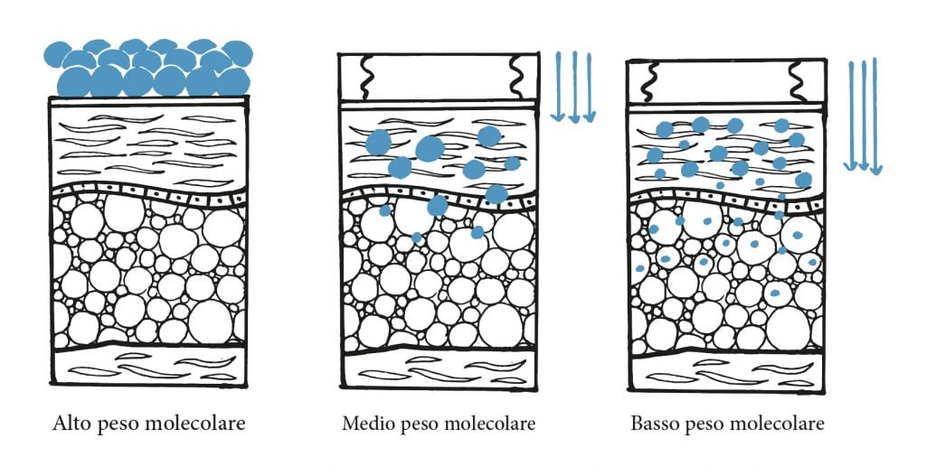 acido ialuronico peso molecolare