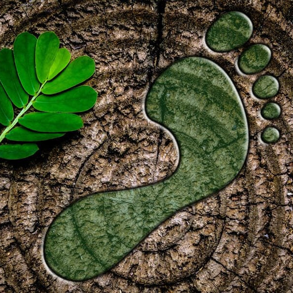 impronta carbonica cos'è e come ridurla